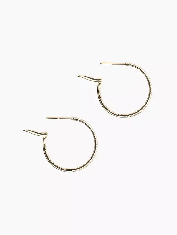 1 Pave Diamond Hoops