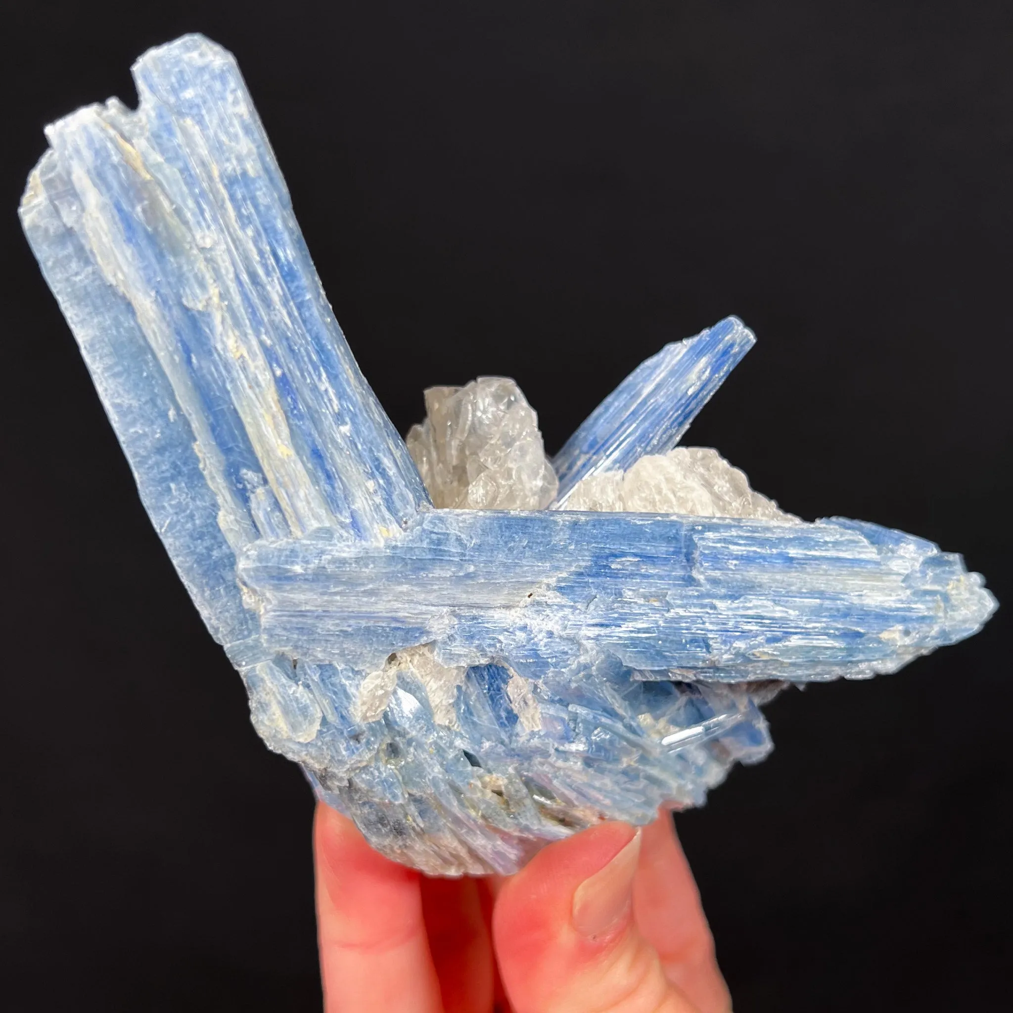 Blue Kyanite with Quartz