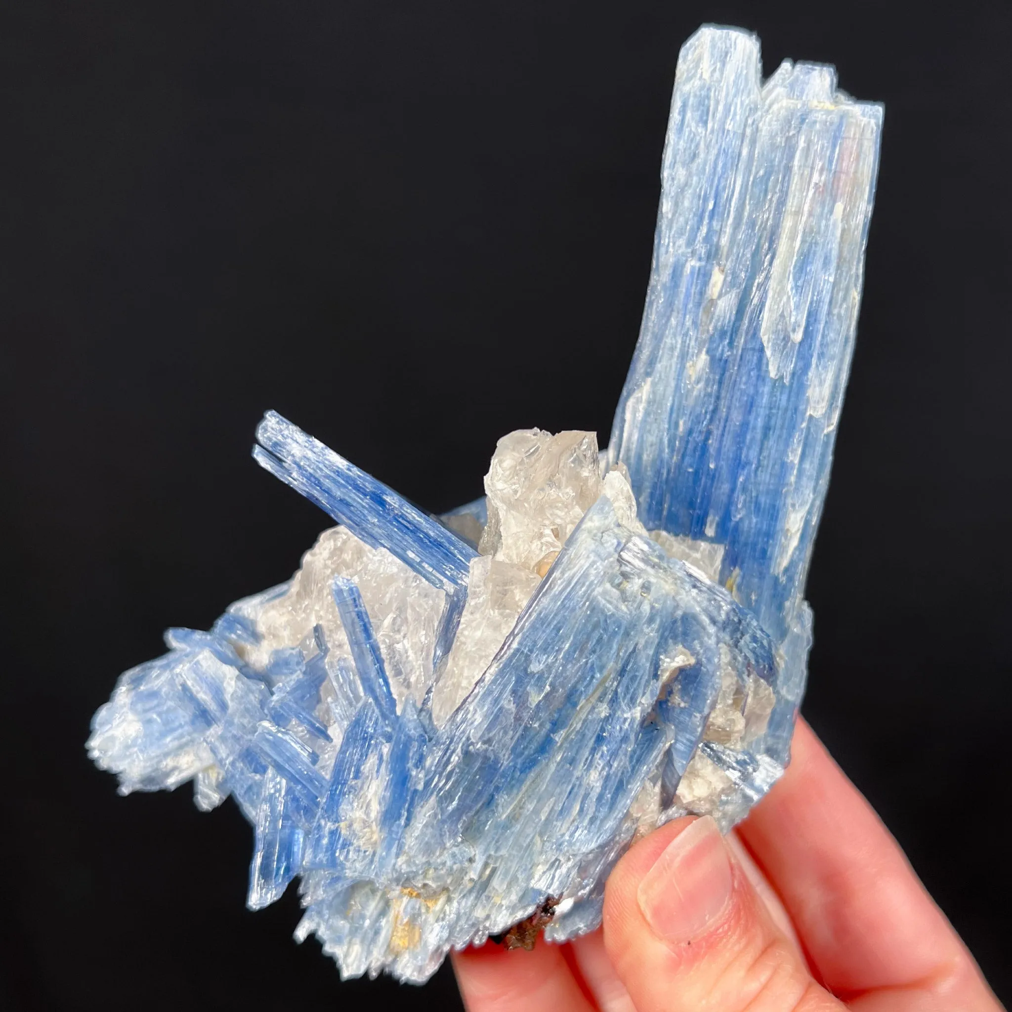 Blue Kyanite with Quartz