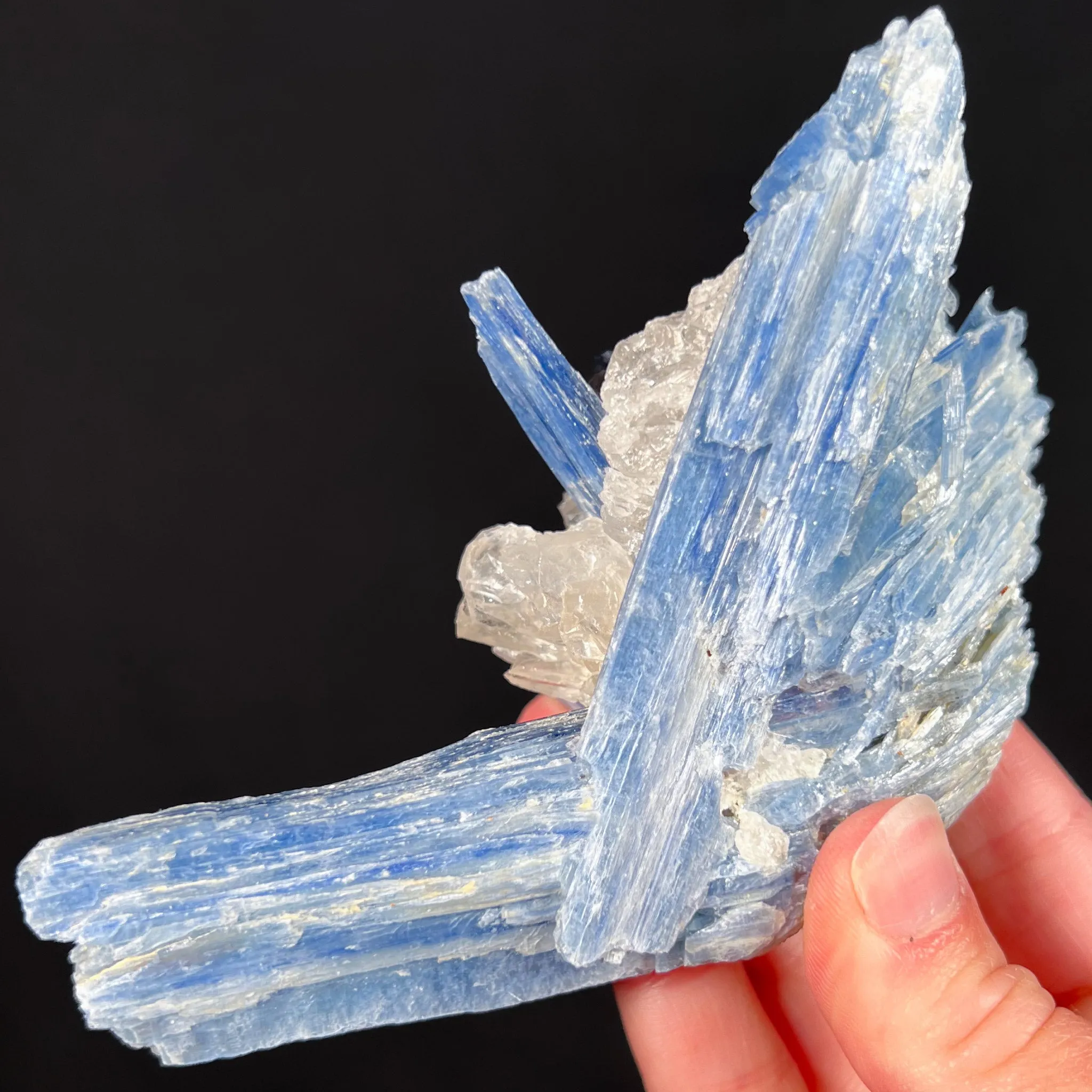 Blue Kyanite with Quartz