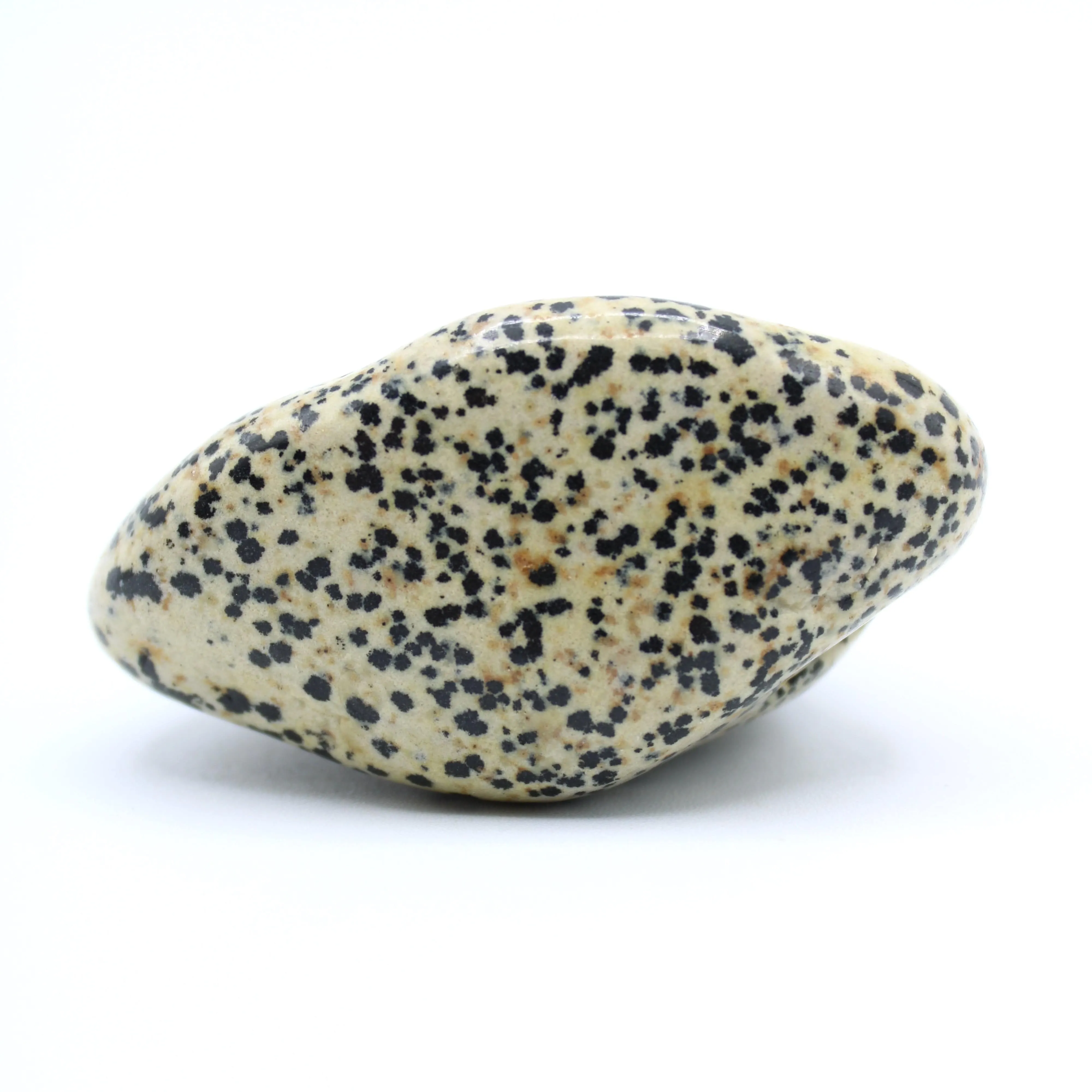 Dalmatian Jasper Free-Form