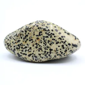 Dalmatian Jasper Free-Form