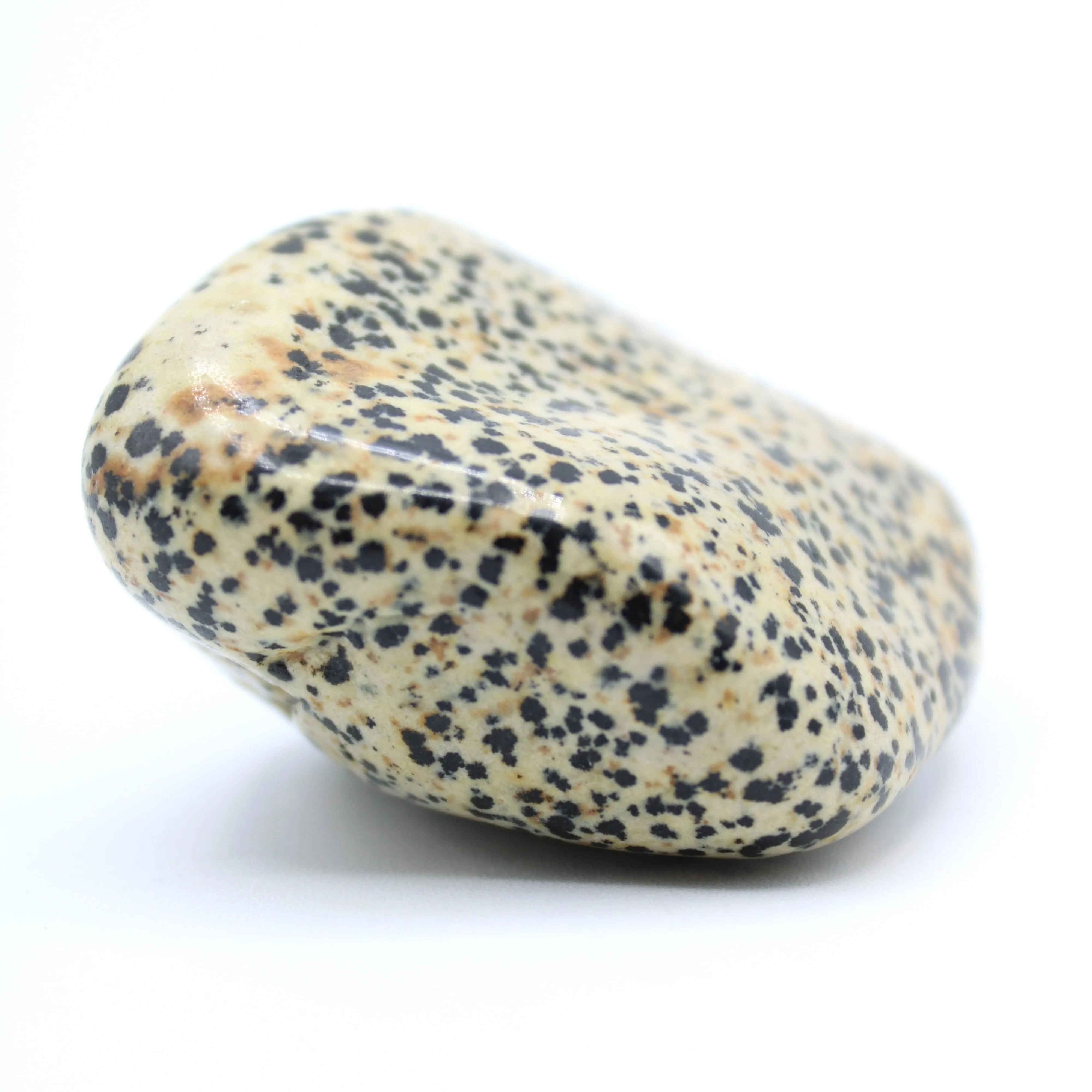 Dalmatian Jasper Free-Form