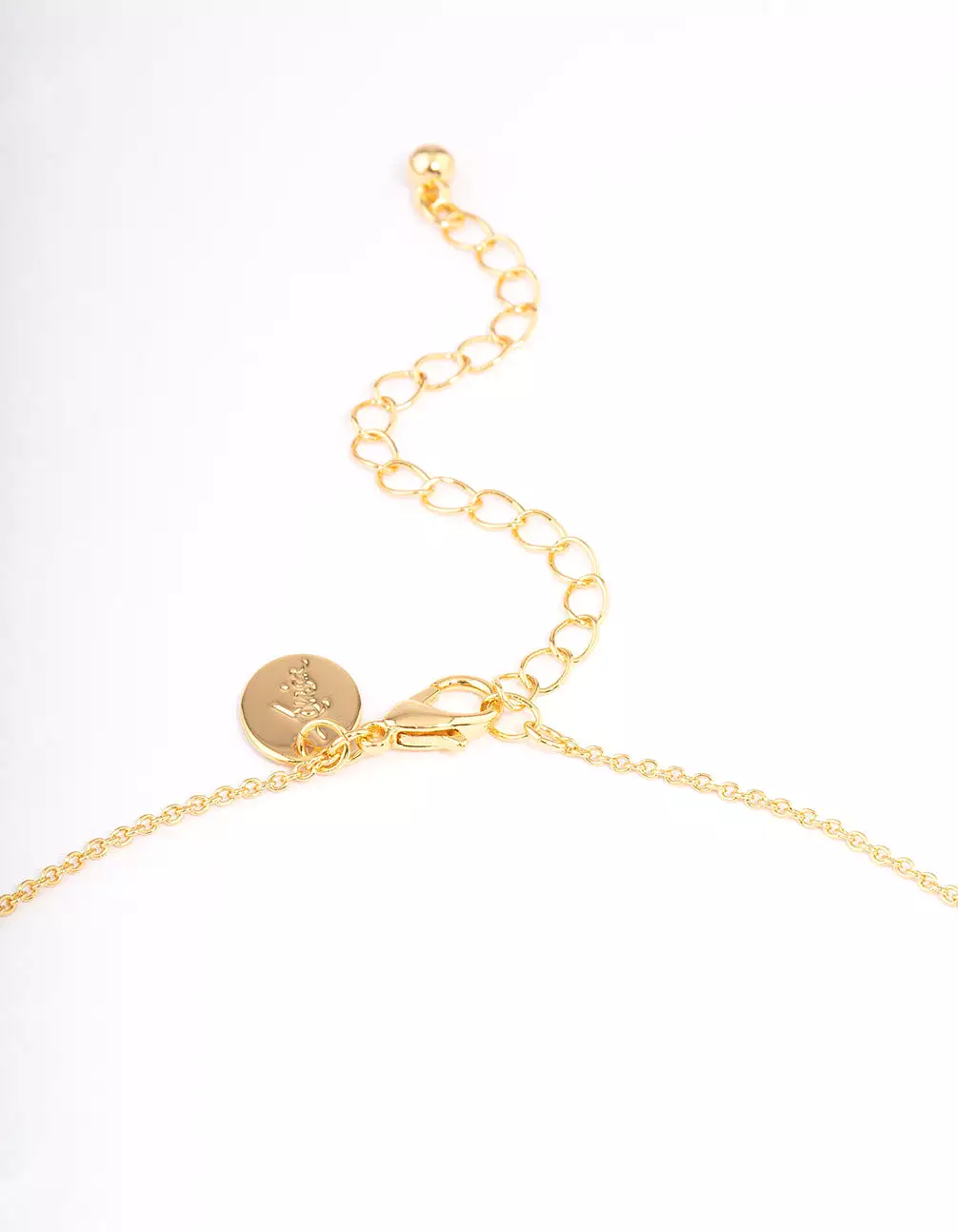 Gold Plated Leo Coin Pendant Necklace