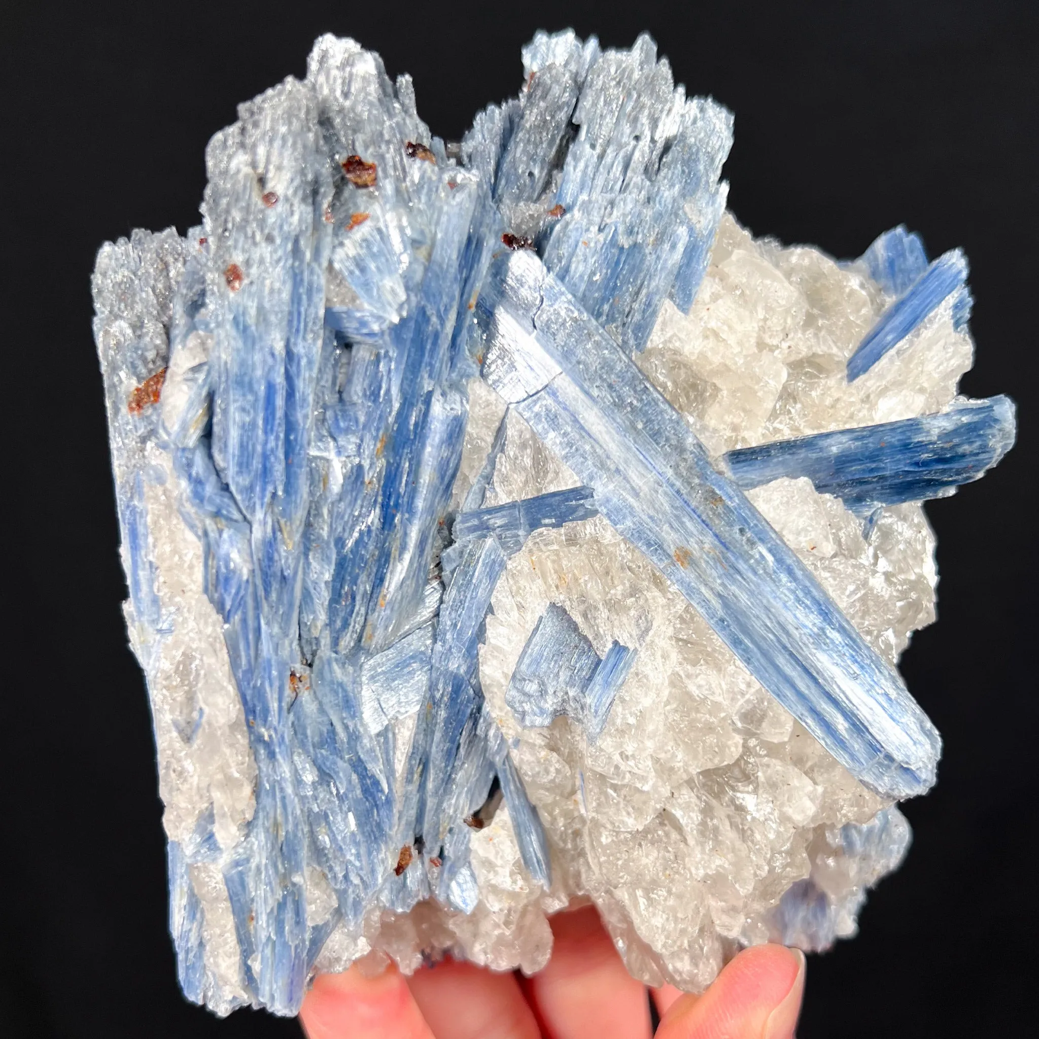 Large Blue Kyanite with Quartz