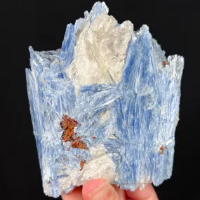 Large Blue Kyanite with Quartz