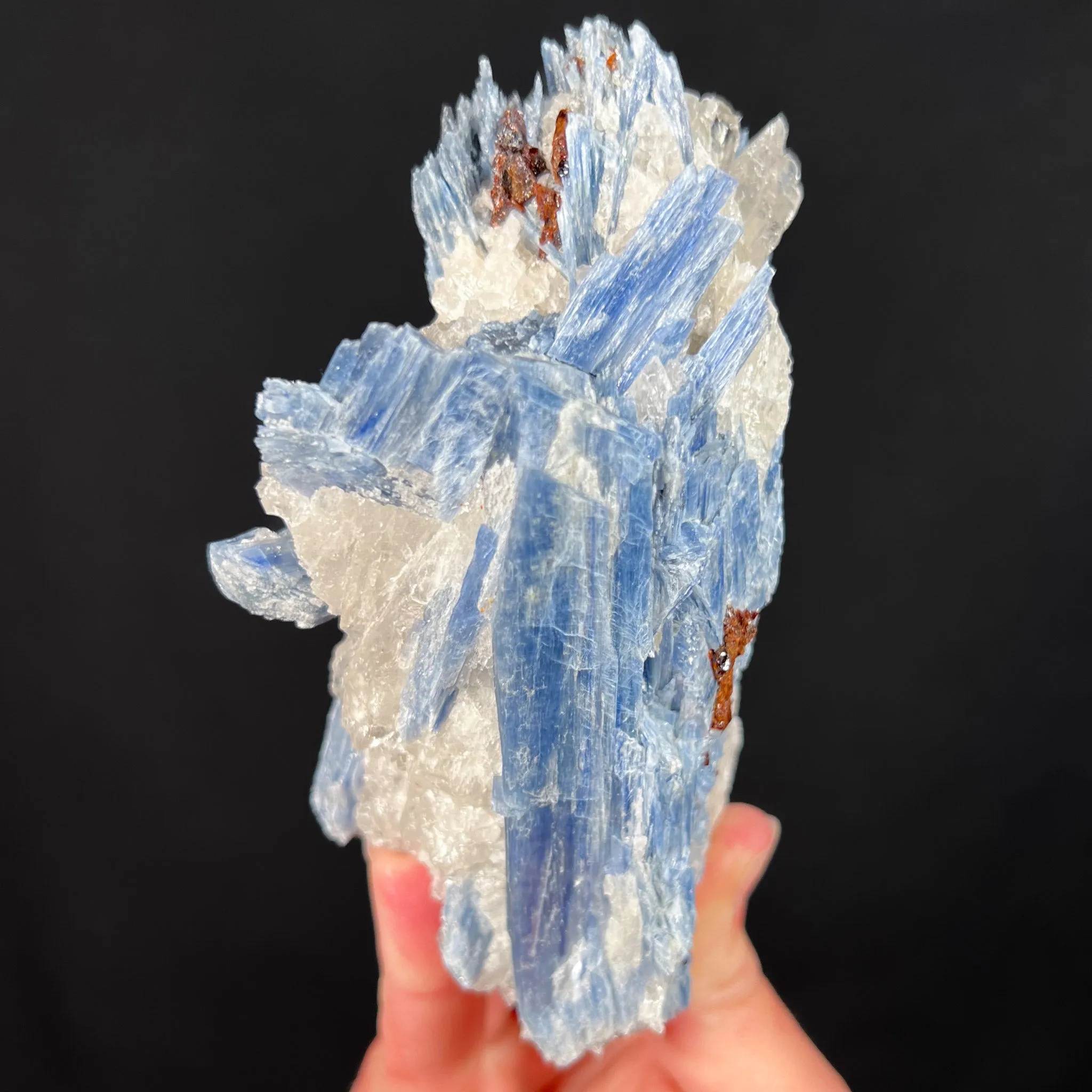 Large Blue Kyanite with Quartz