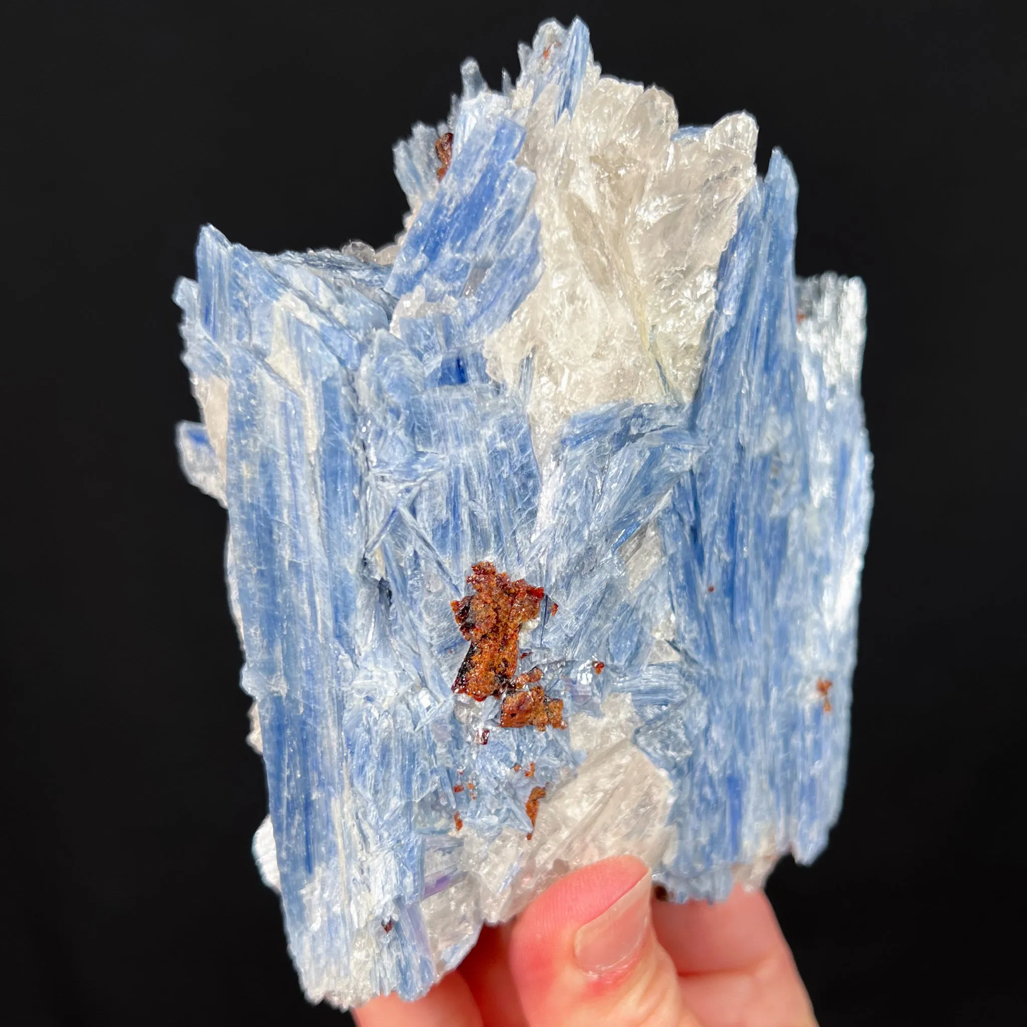 Large Blue Kyanite with Quartz