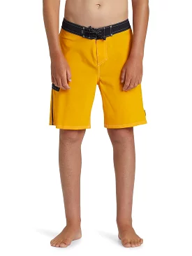 Quiksilver Boys Saturn Solid 17 Boardshorts